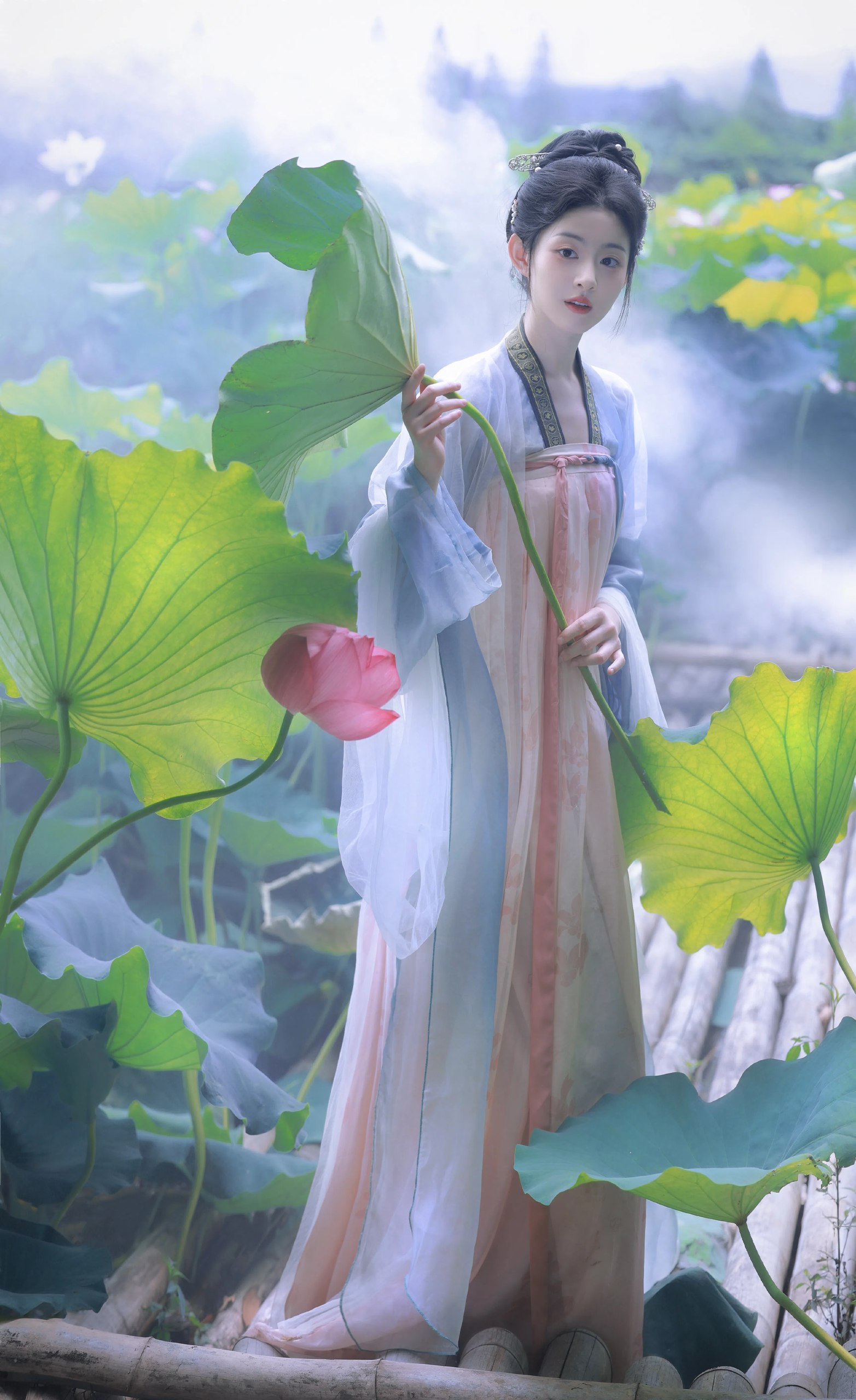 夜月直播最软件下载