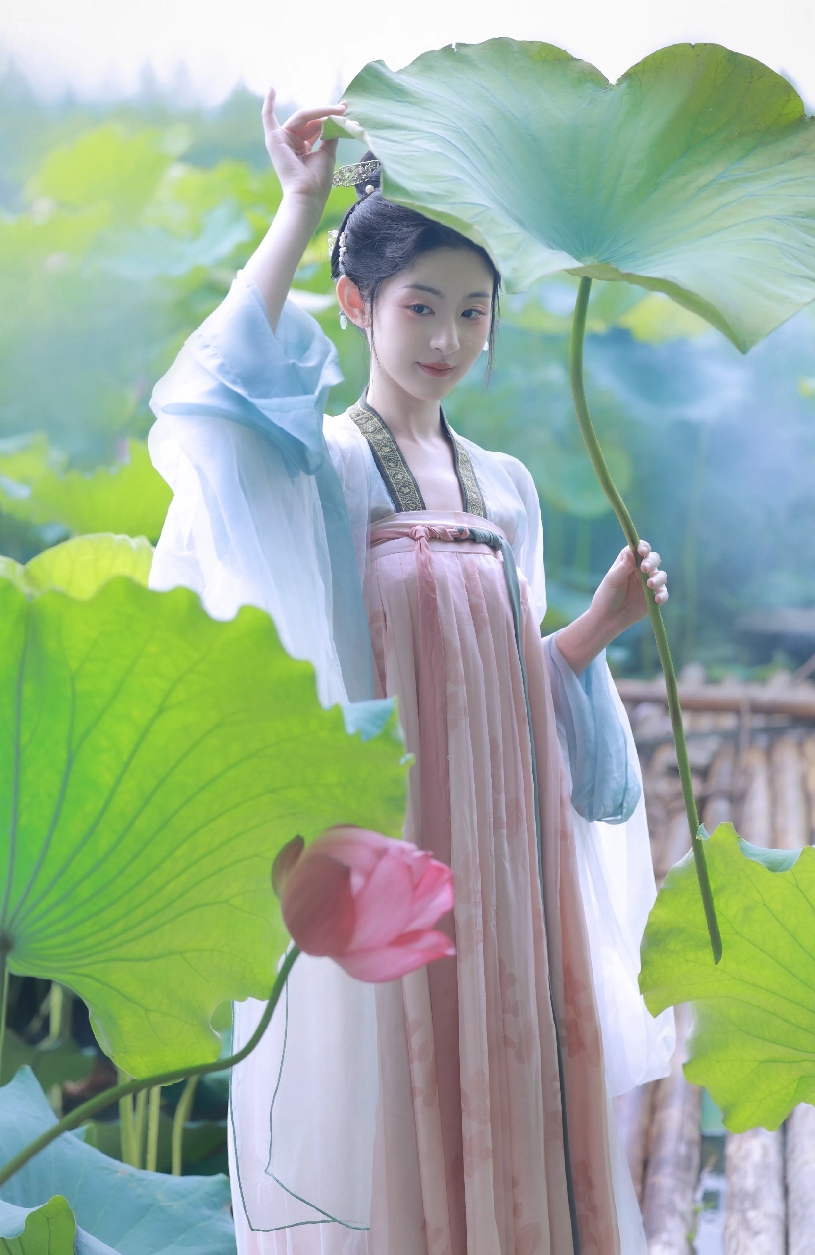 贵妃网