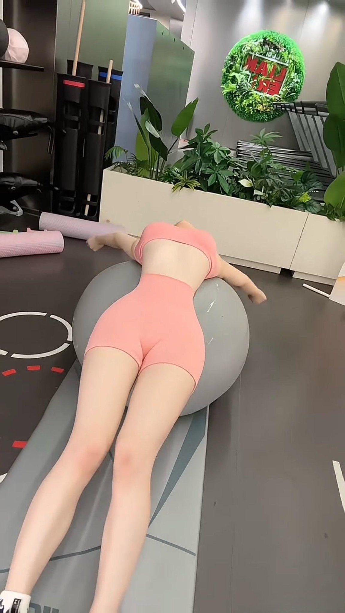 手机app官方版免费安装下载