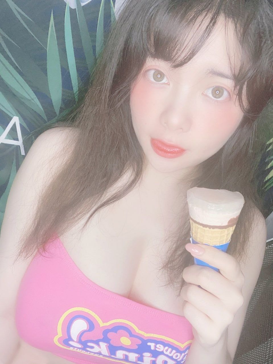 成版人猫咪APP