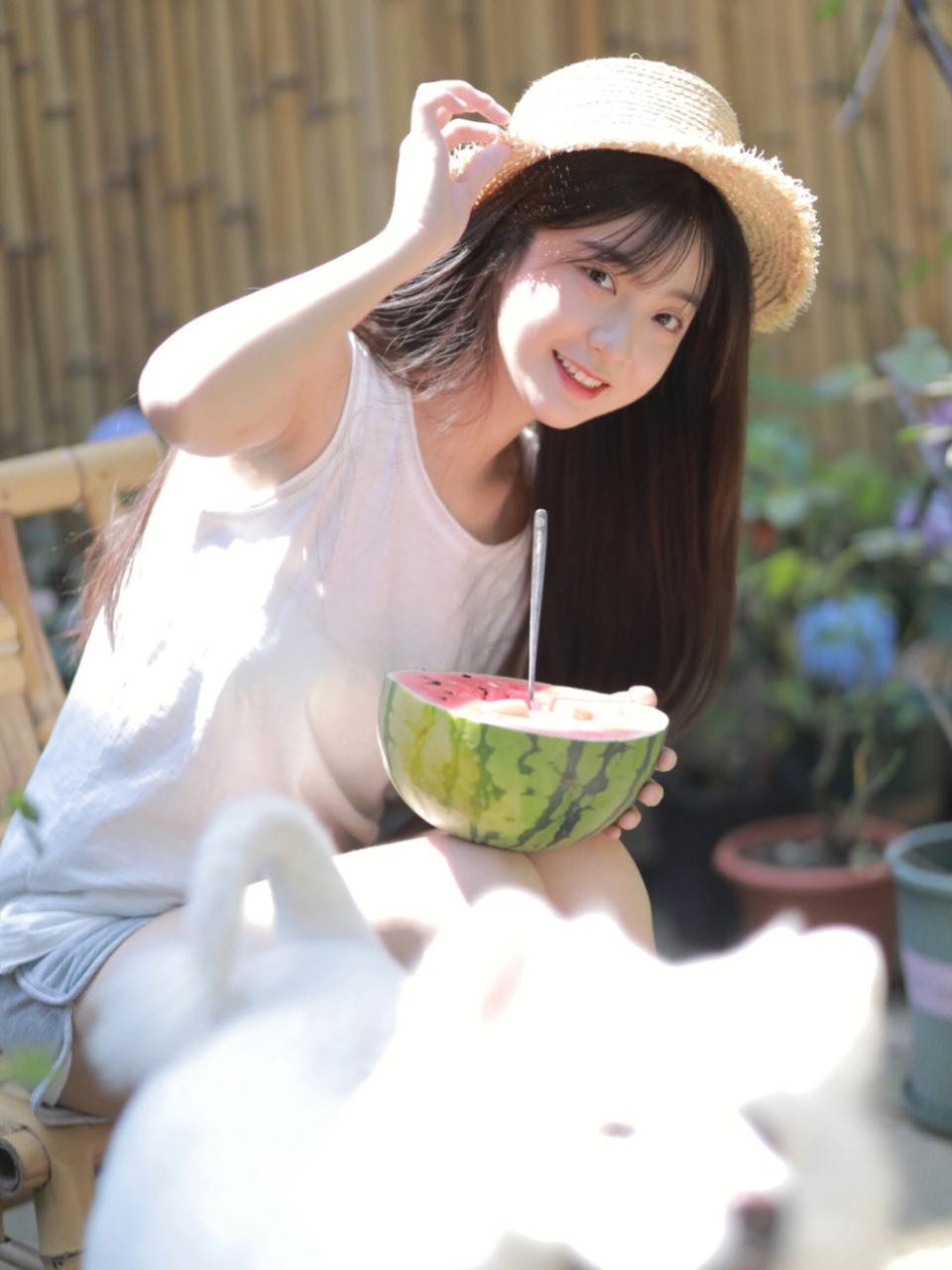 最全的欧美大片app