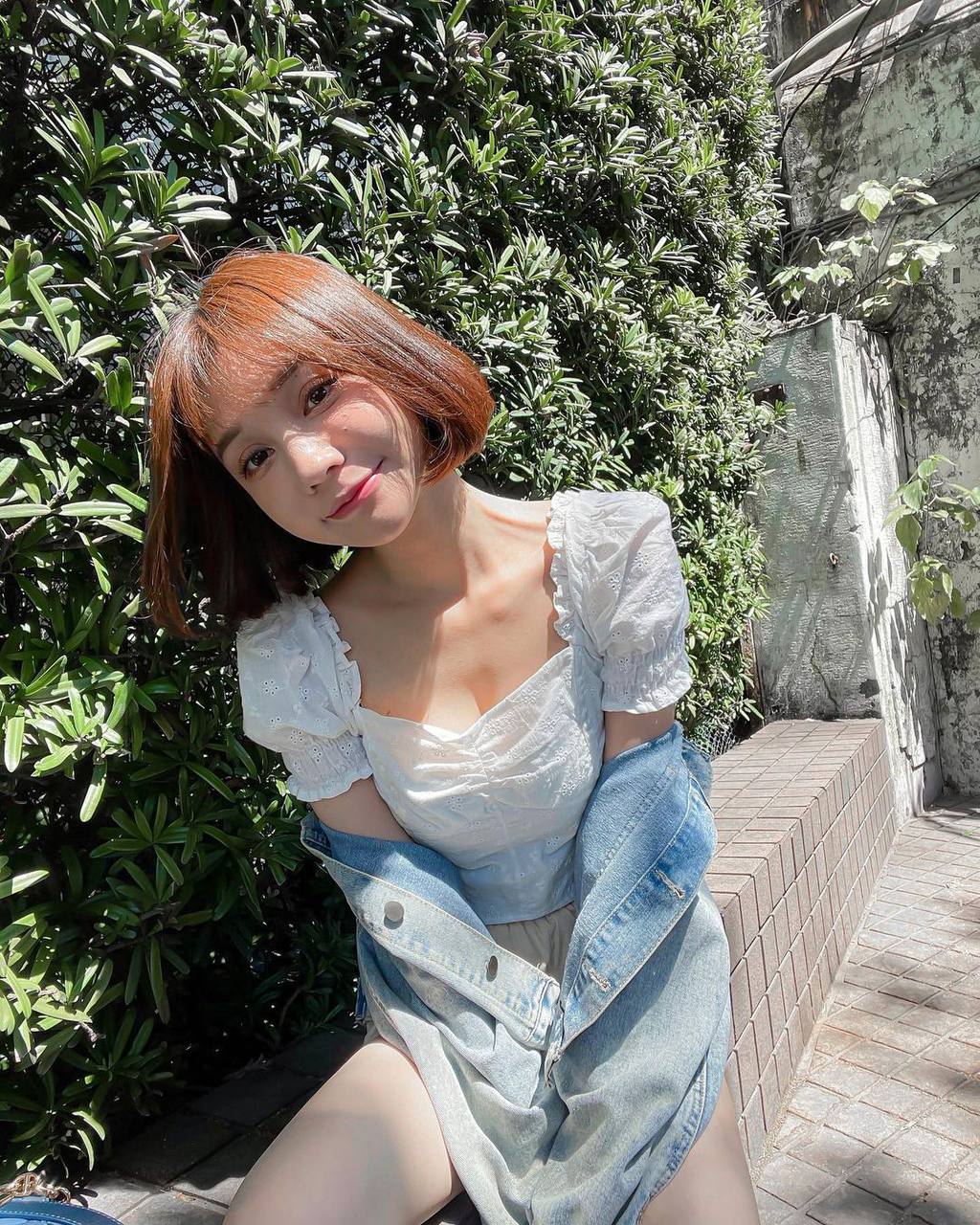 草莓樱桃丝瓜绿巨人秋葵榴莲蕾丝下载