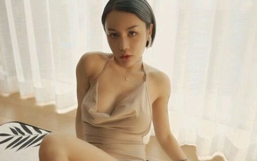 荔枝视频在线观看免费版下载无限制版下载安装