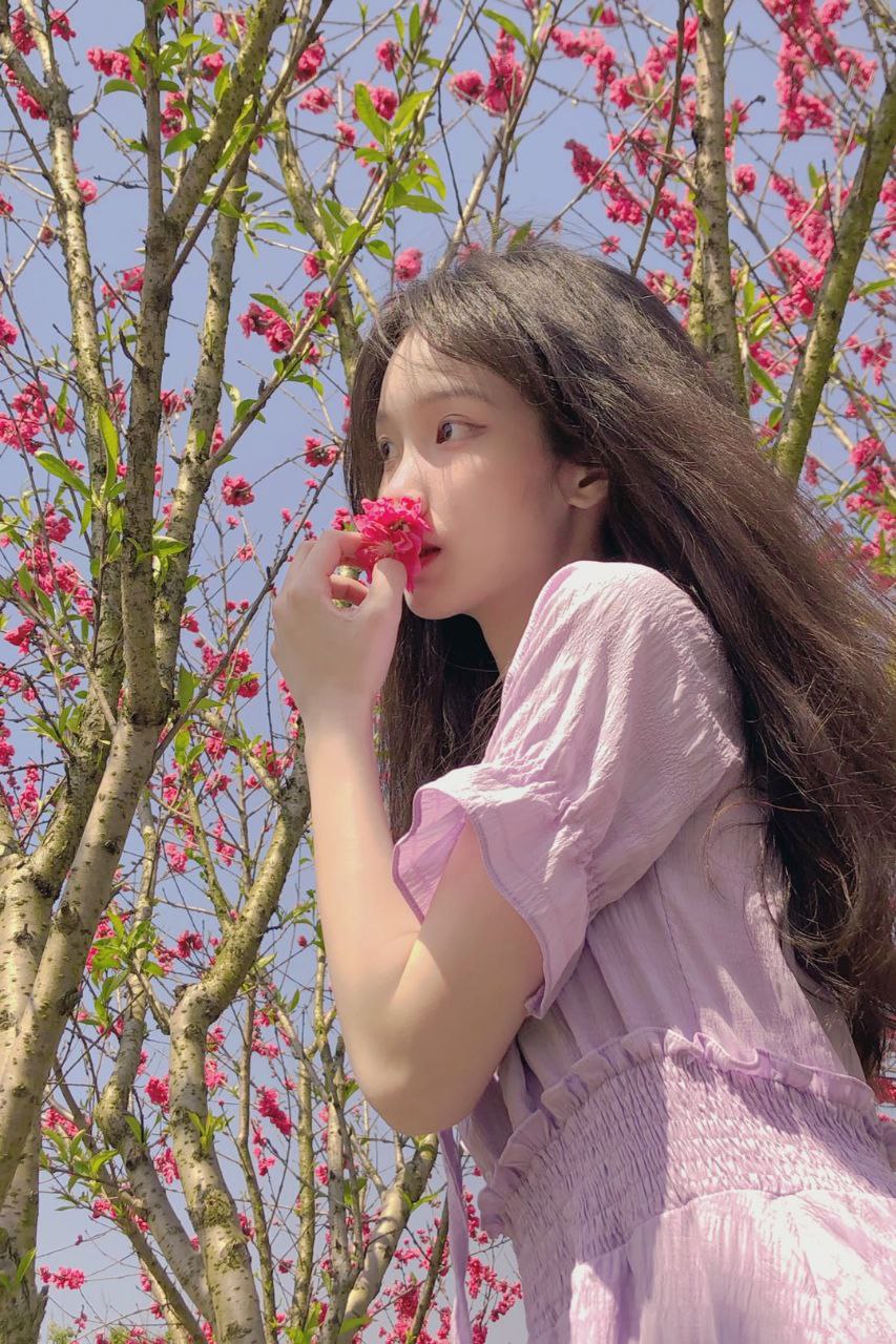 花季传媒app下载合集免费版