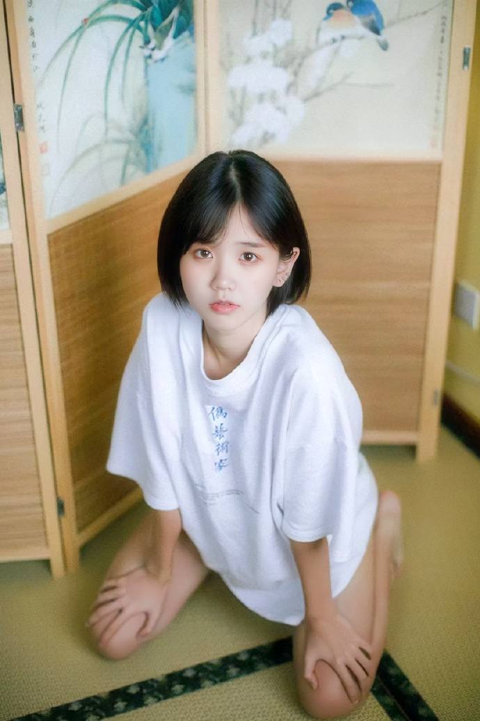 花灯直播app绿色版下载