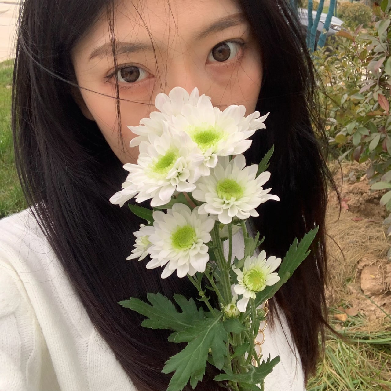 夜月直播全版本app大全下载