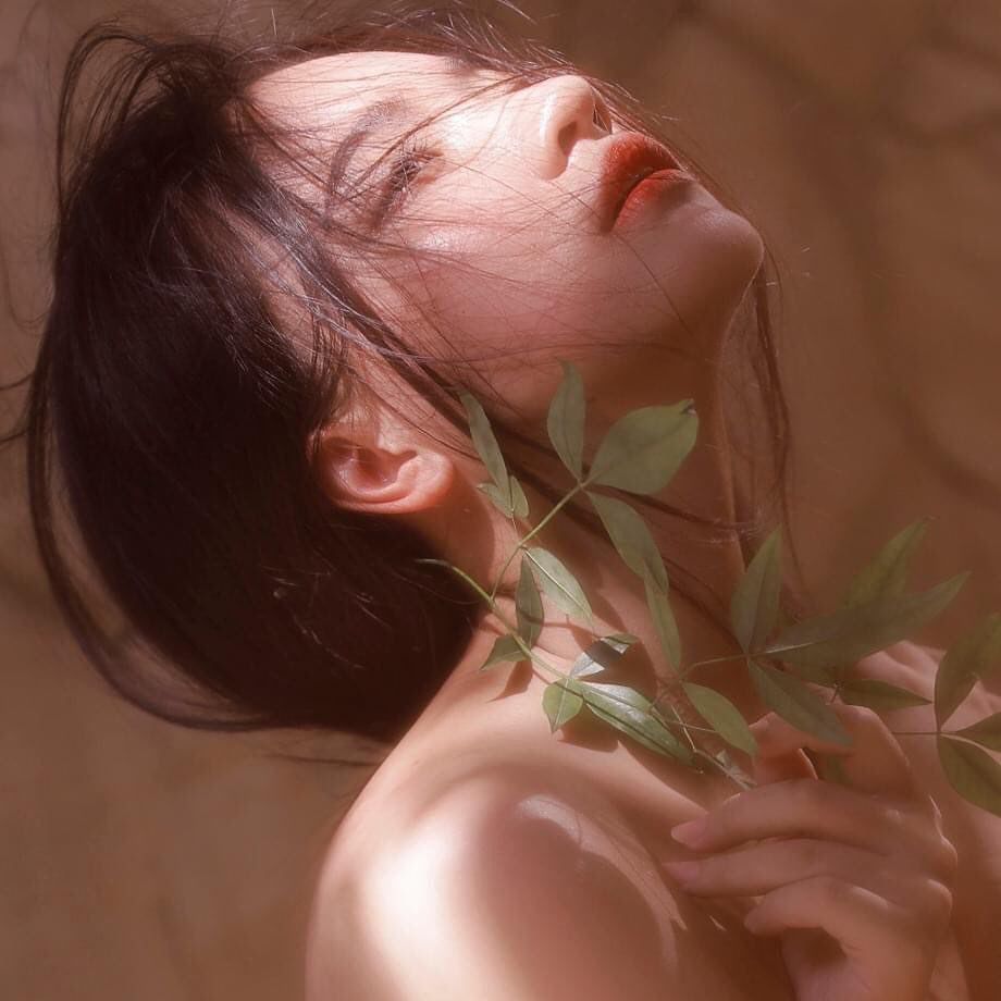 老版本蜜柚app下载