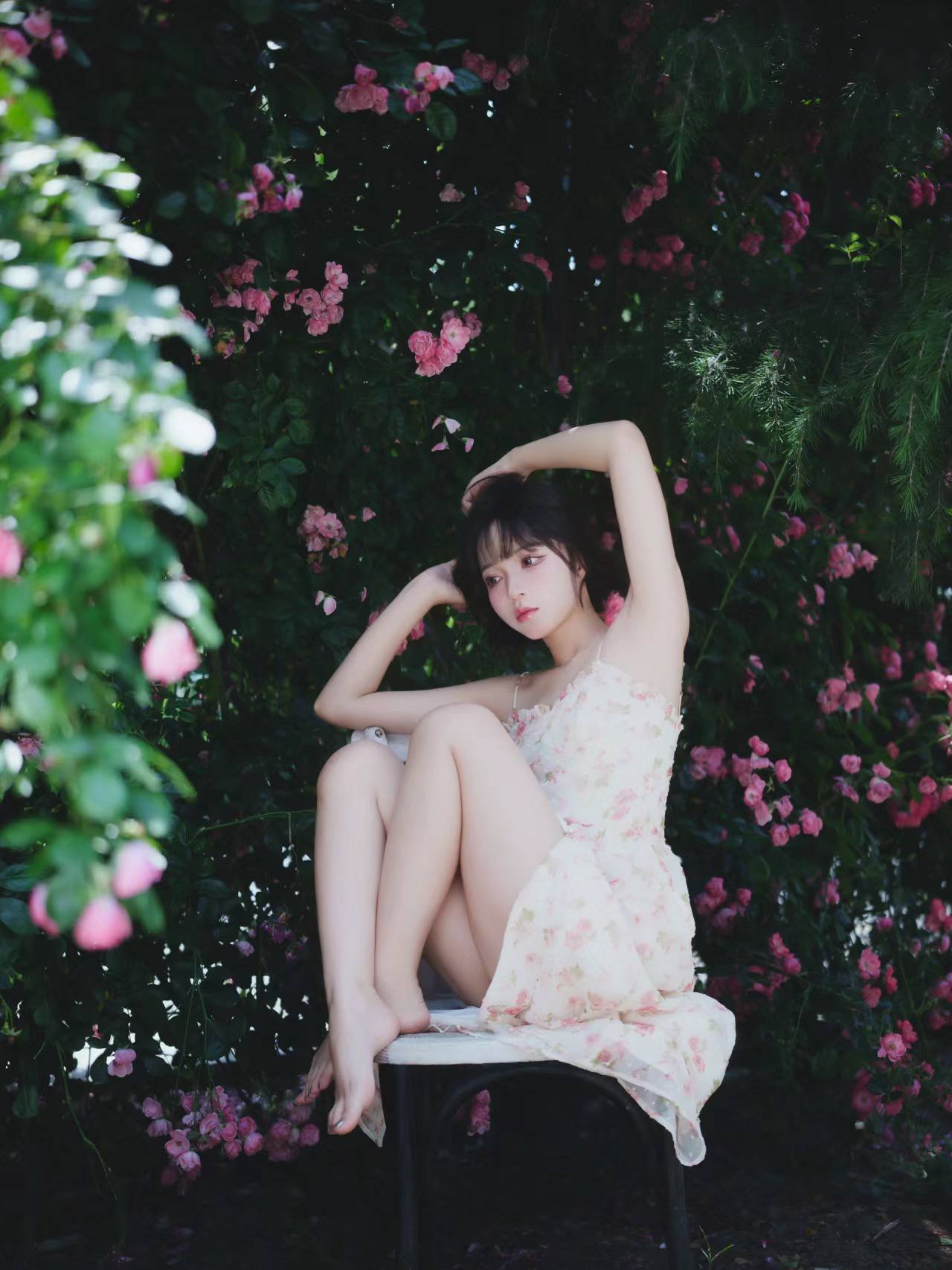 丝瓜苏州晶体公司
