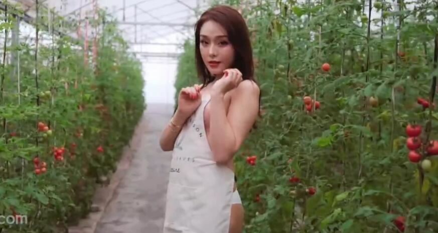 国产福利视频第一导航