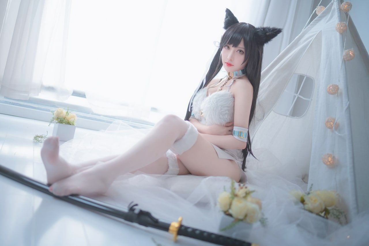 美女在线视频网站免费