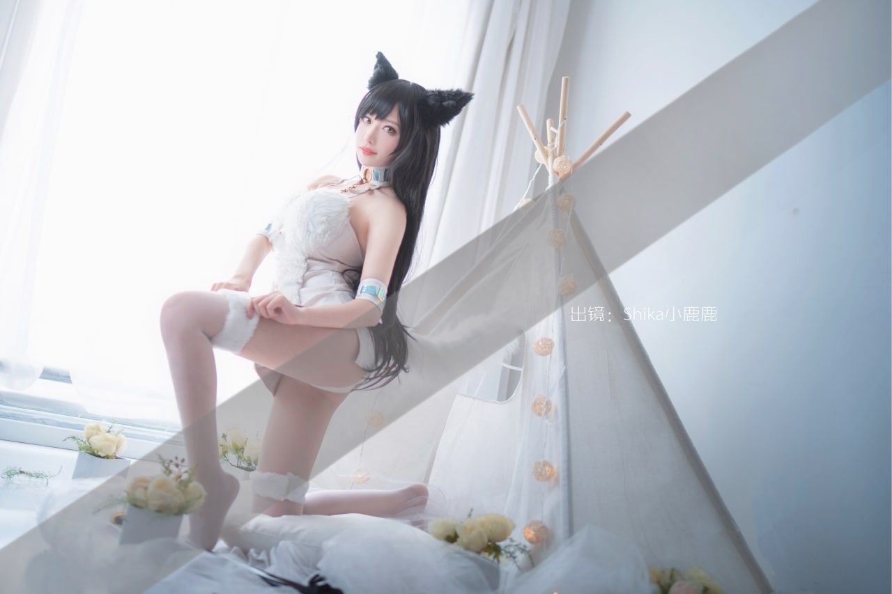 醉花间直播2022最新版