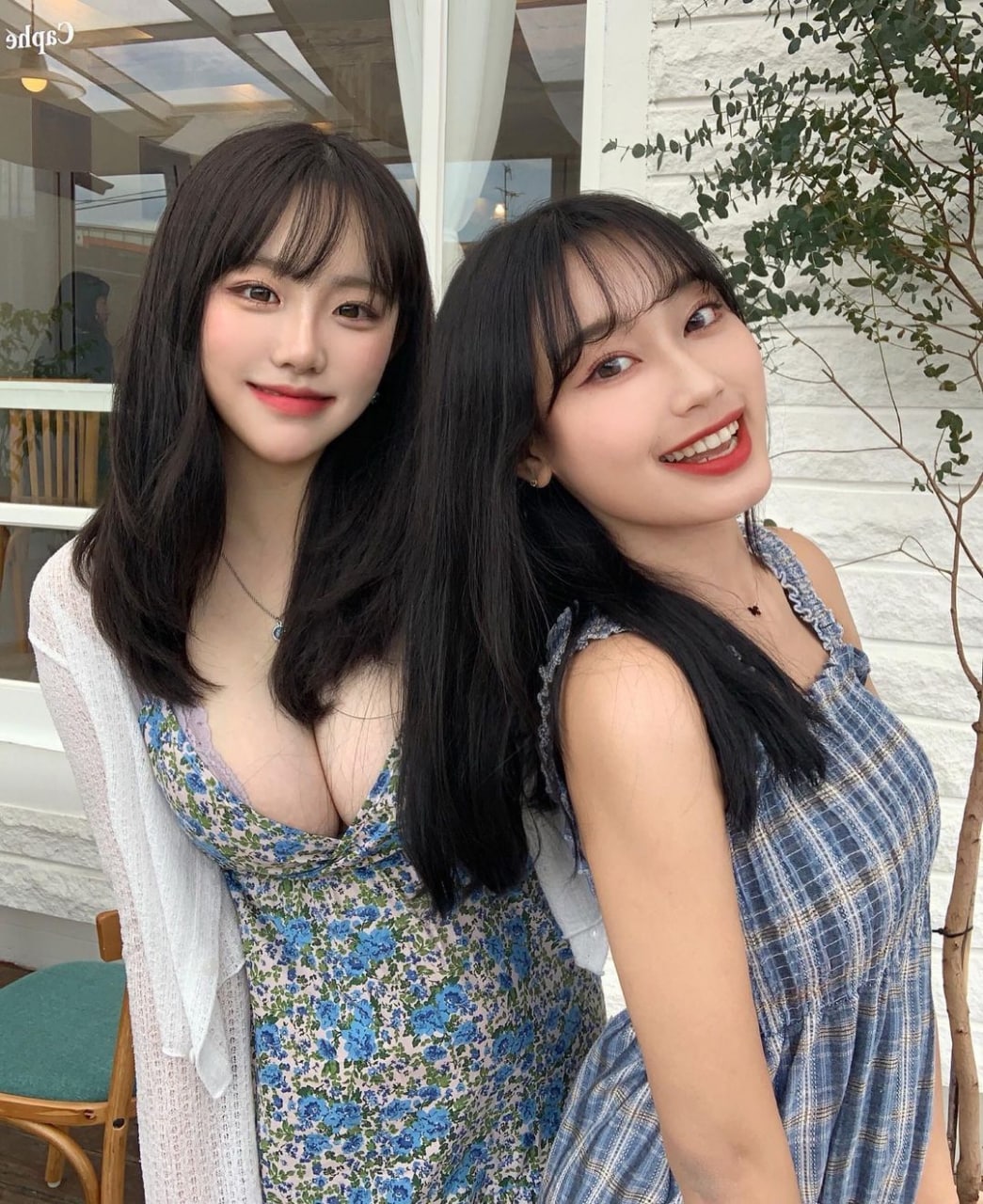 樱桃视频app在线