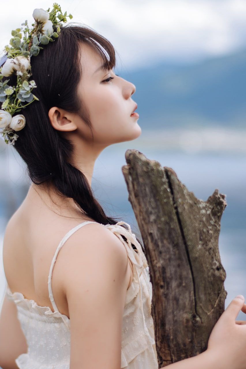 无弹窗小说网