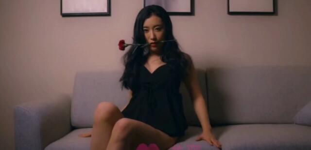 男女做爰全过程的视频