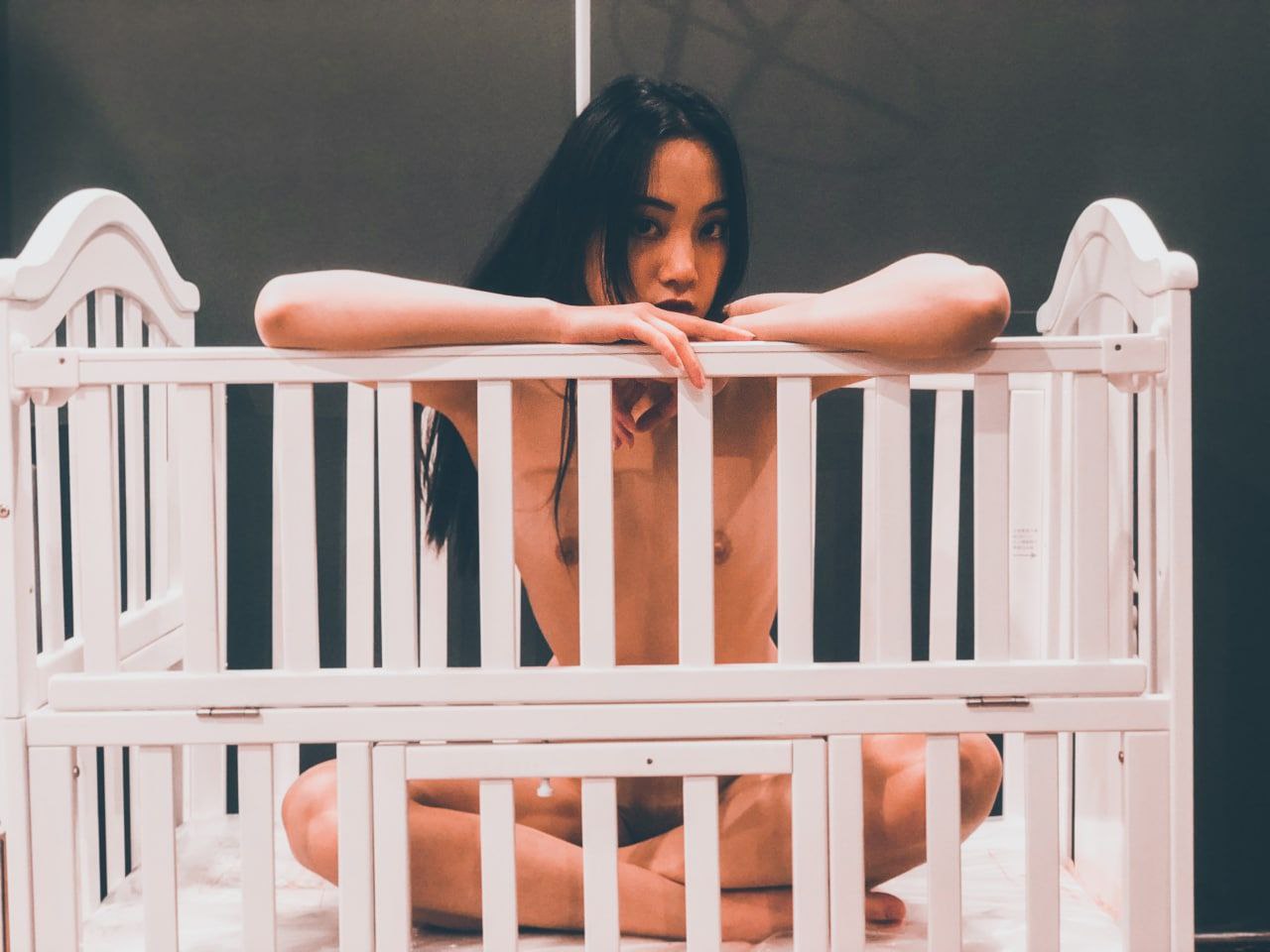 向日葵小说网下载