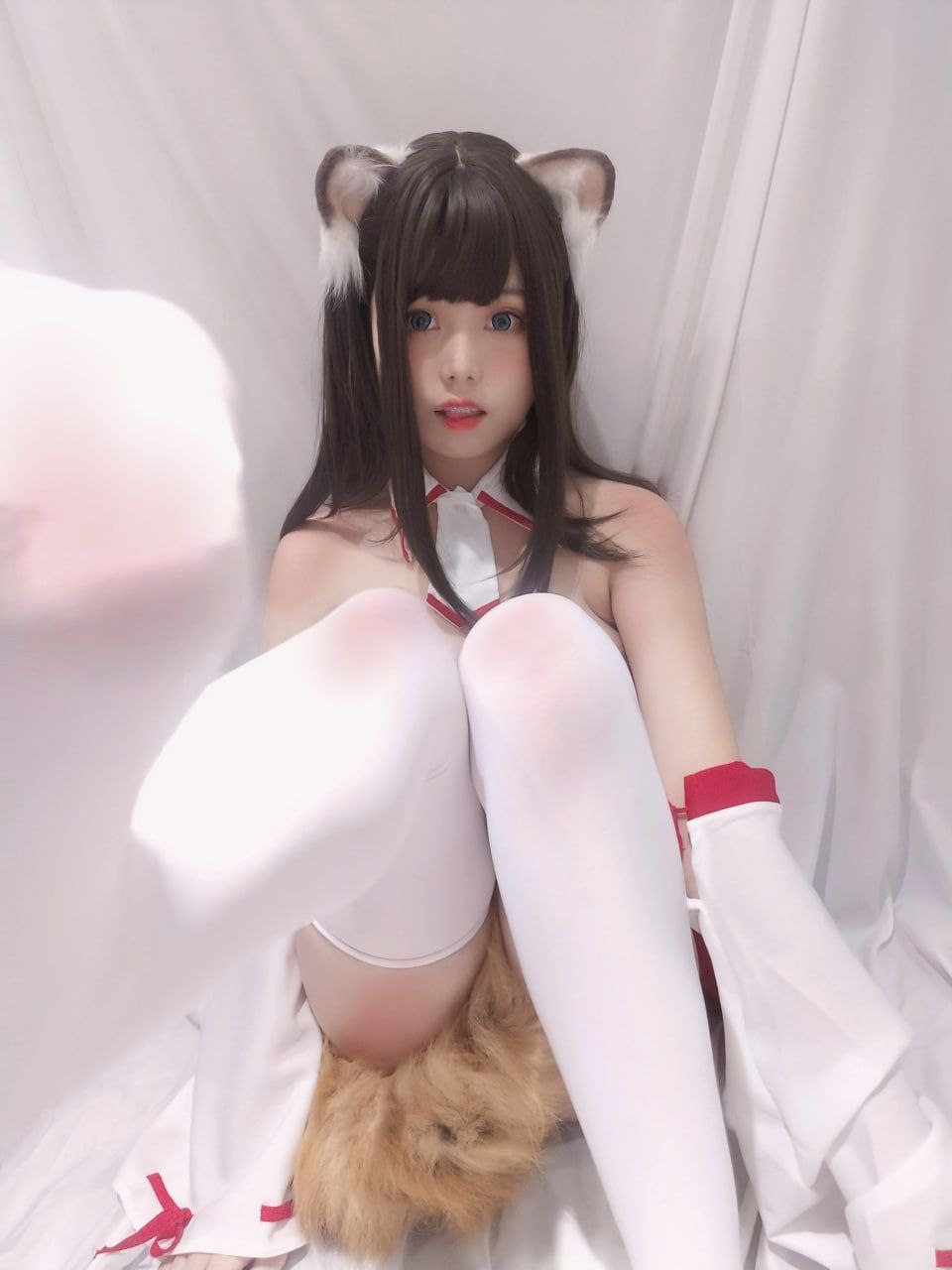 榴莲app官网
