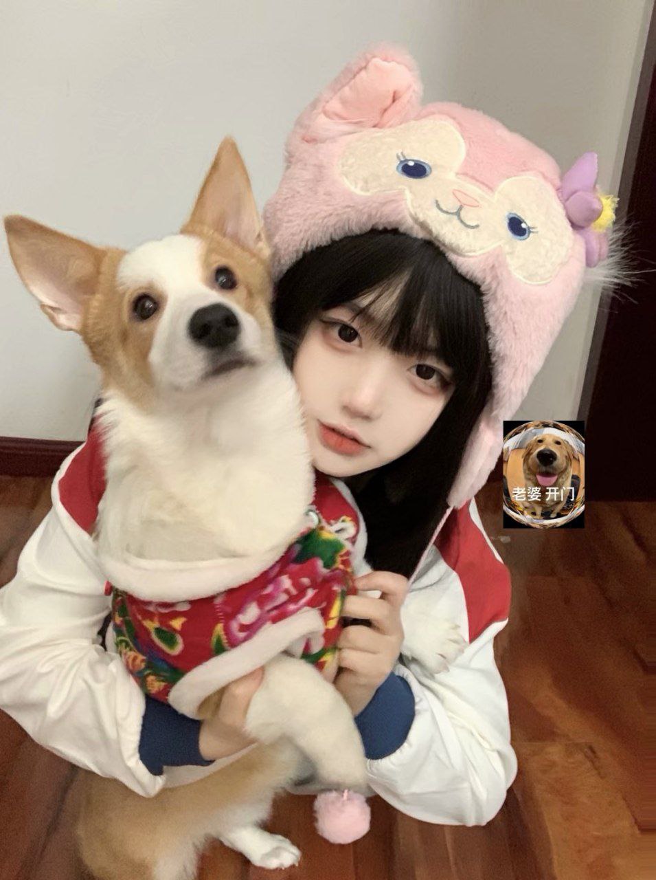 幸福宝8008隐藏入口丝瓜下载