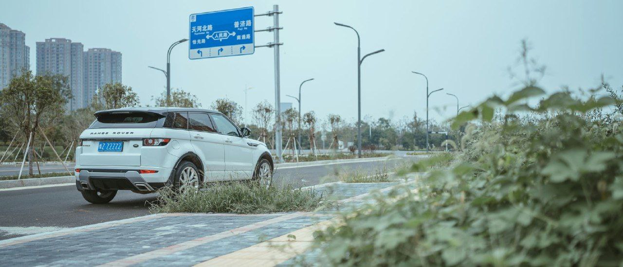 蜜柚视频app无限看x在线