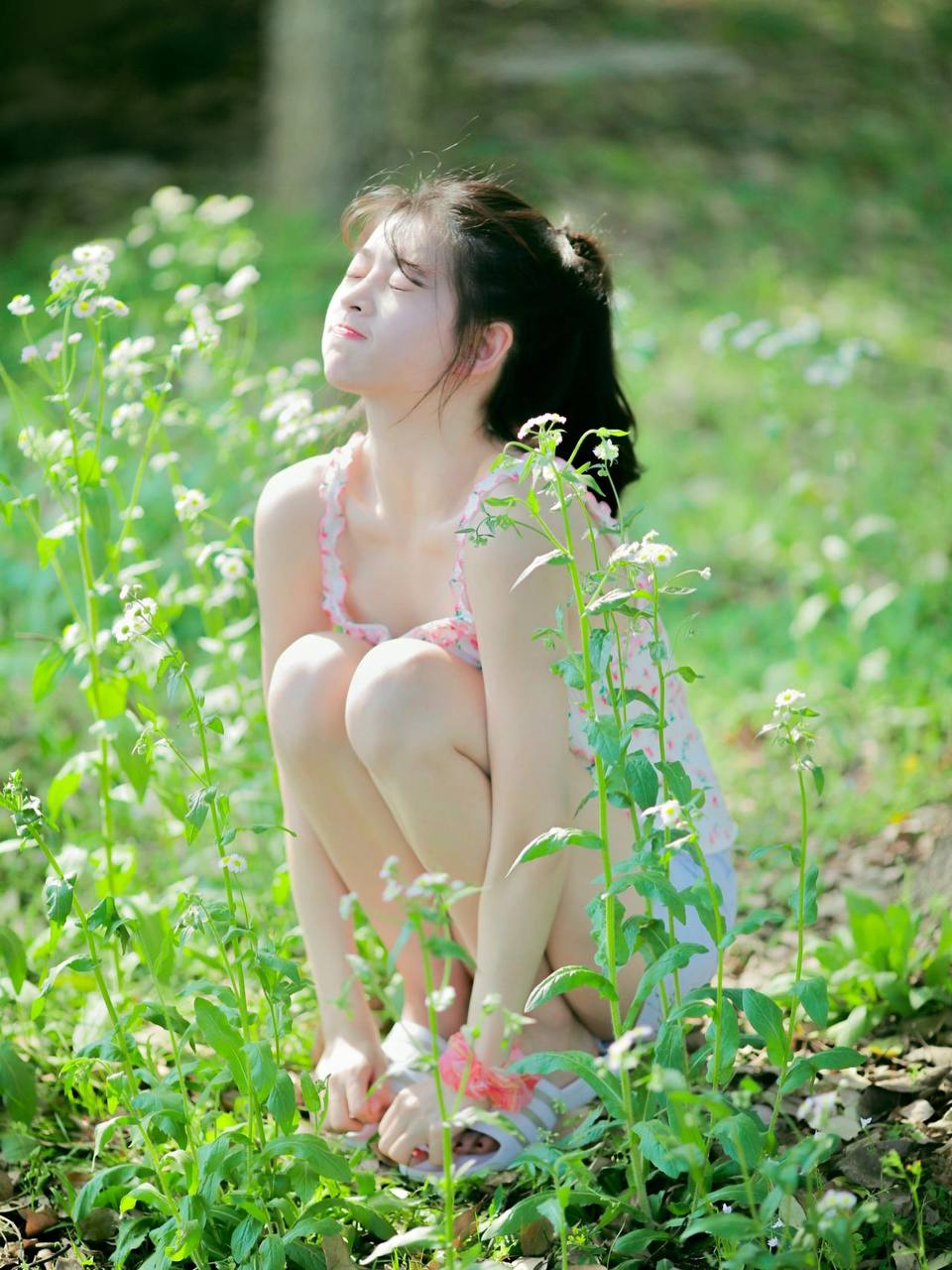 八戒影视