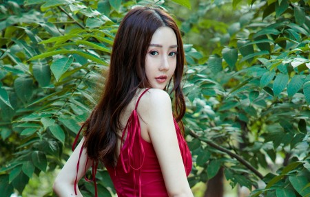 达达兔免费观看延禧攻略