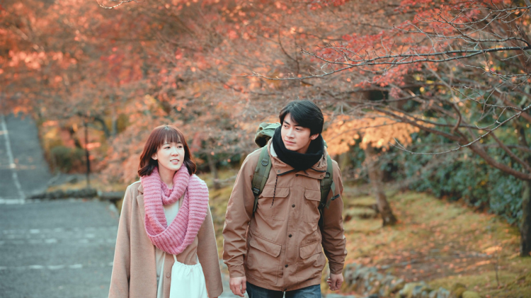 傅先生的闪婚甜妻