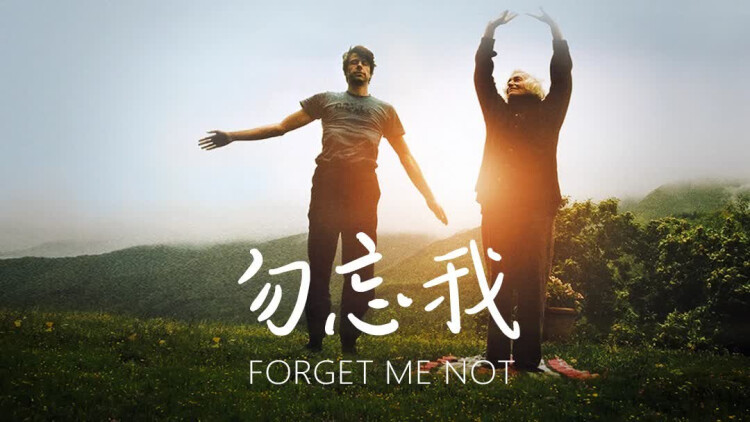 给点阳光就灿烂