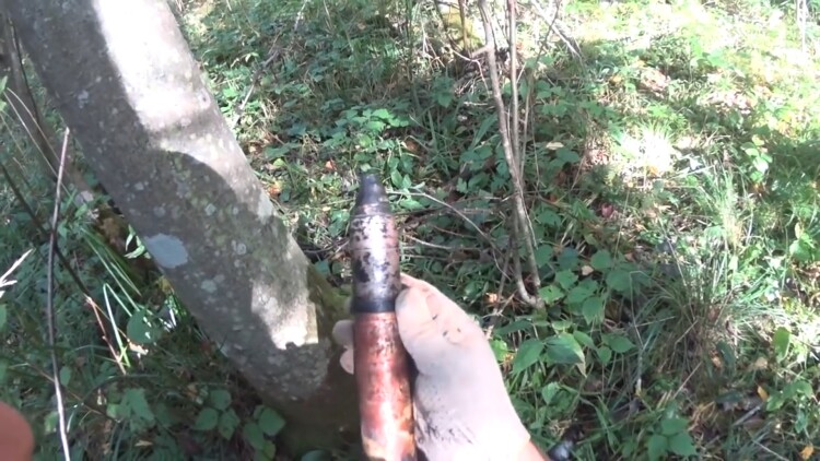 爱与罚的误会与考验