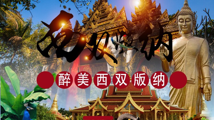 我们的理由