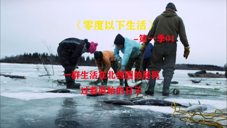 重返天堂岛