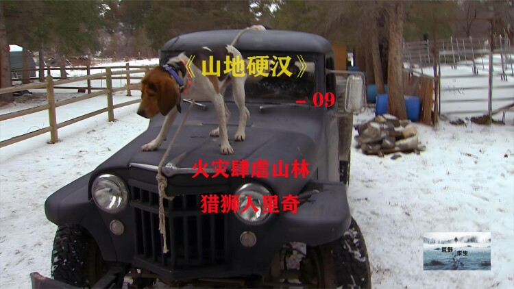 《绝世小娇娘》的才情崭露
