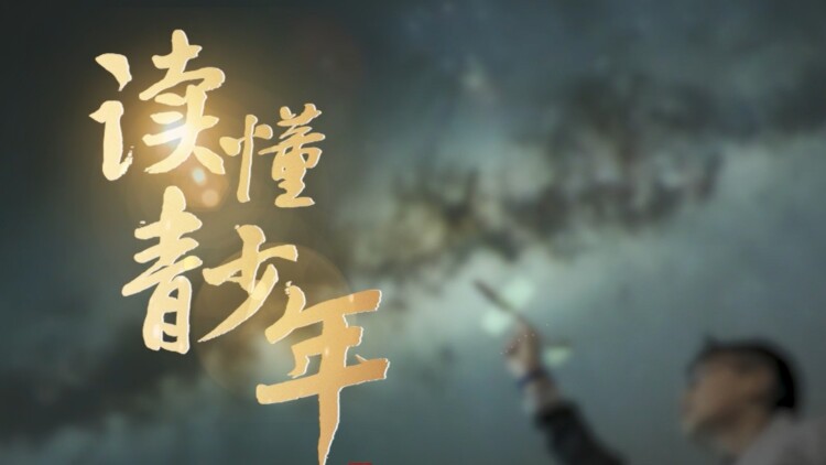 道义与政治：拒绝赔款的深层原因