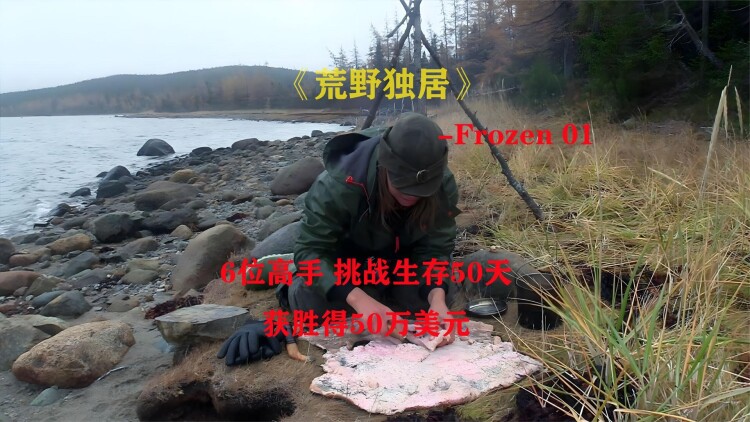 一条狗的回家路