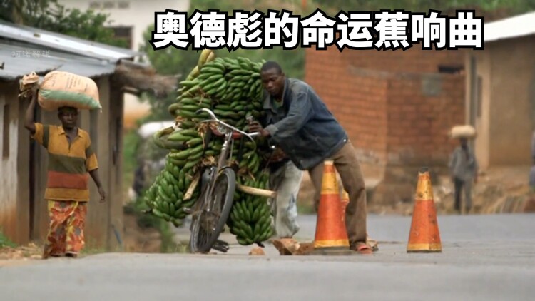 罗莎琳