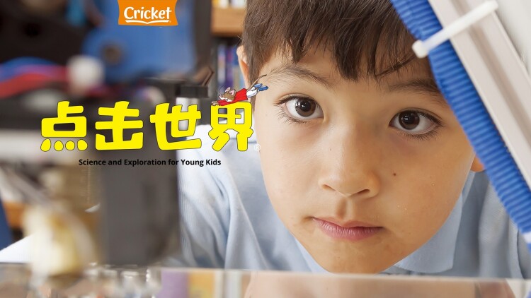 《乖乖被你宠》冲突与理解