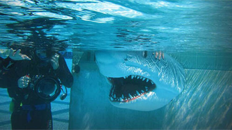 永恒的女儿