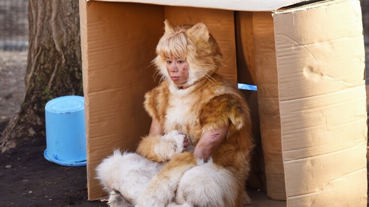 火光中的芍药花