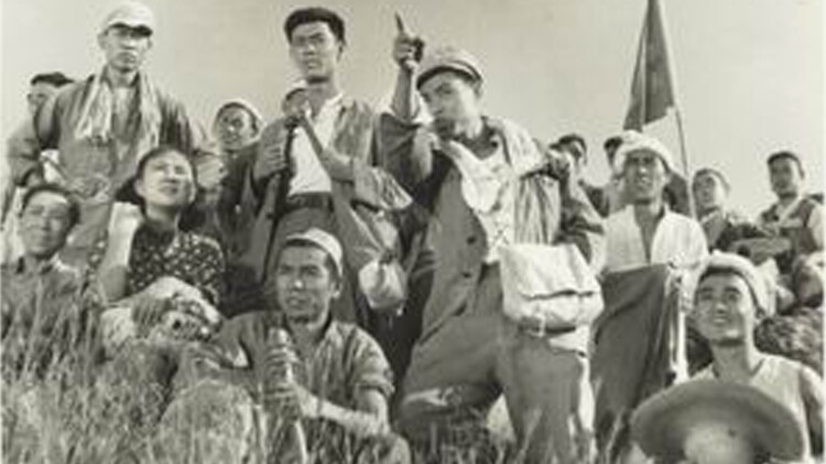 干支魂猫客万来