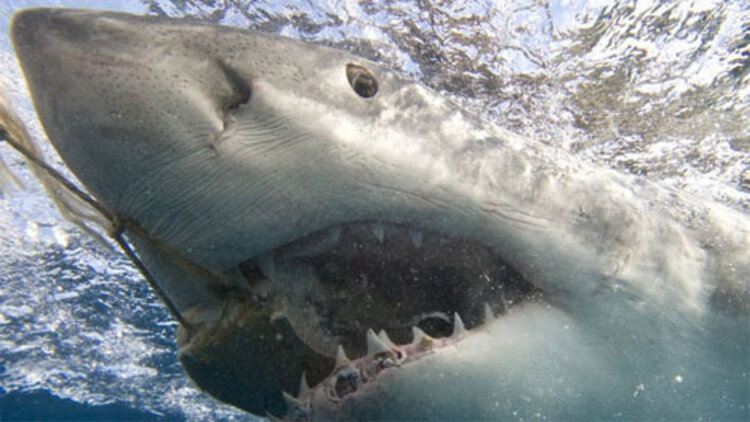 坠楼死亡的剖析