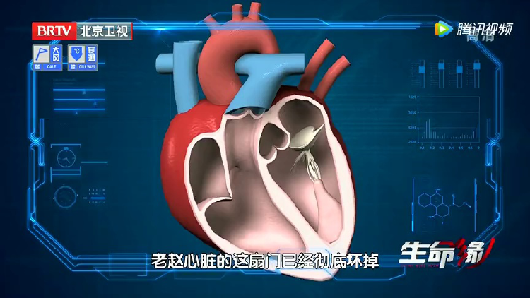 不负如来不负卿
