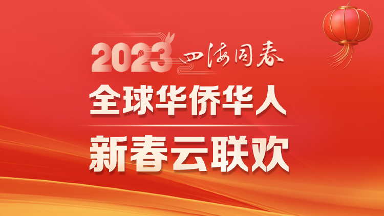 《300勇士》系列的传奇与魅力