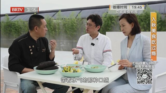 积极反馈与行动：建议后的执行与改进
