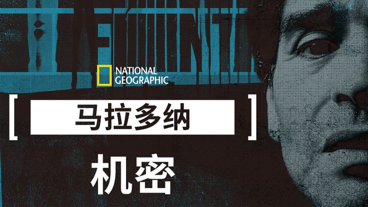 影响学生数量的因素：政策与社会需求
