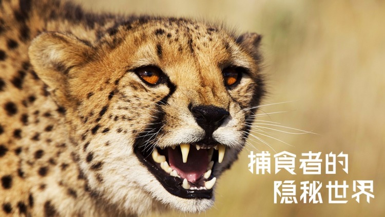互帮互助