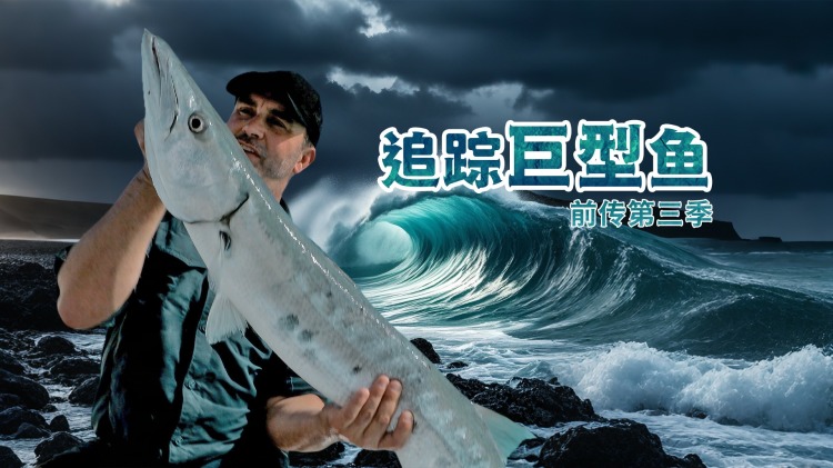 消失的女教师
