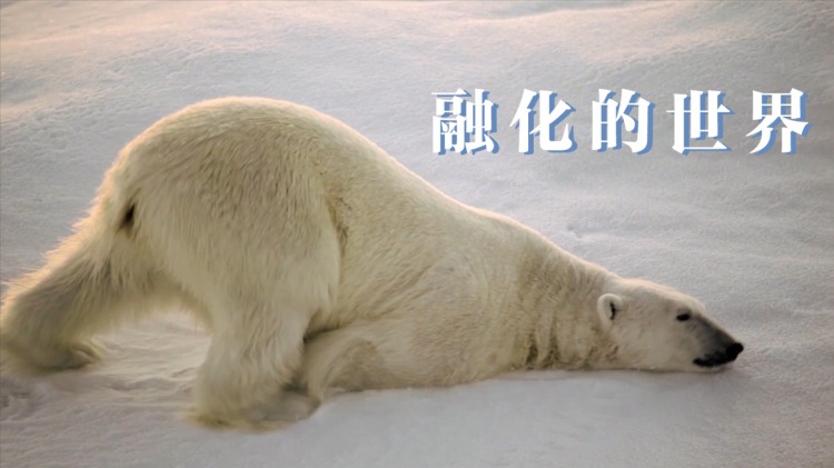 全民诡异开局掌握零元购动态漫·力量的代价与成长