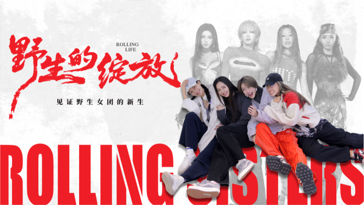 种瓜得瓜种豆得豆——耕耘中的困难与坚持