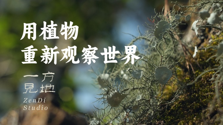 在黑夜中相遇