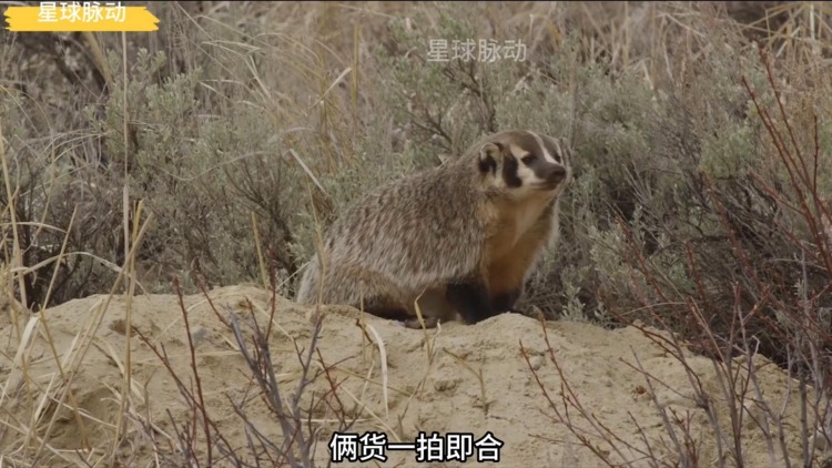 如何选择适合自己的最新专辑？