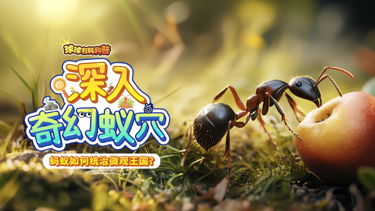 西出玉门