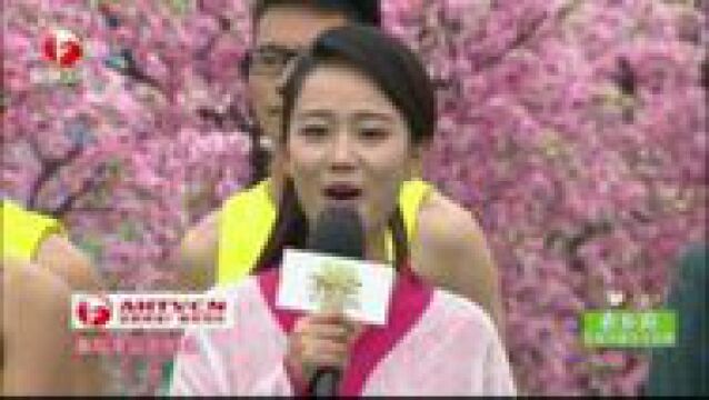 军团与联盟：合作共赢的策略模式